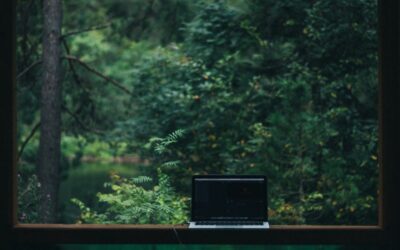Indépendants : comment réduire votre empreinte carbone ?